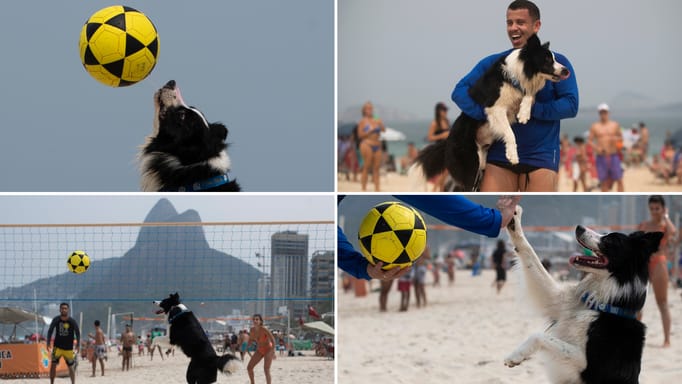 Collage of four images showing a 3-year-old border collie named Floki playing Footvolley on a beach in Rio de Janeiro. 