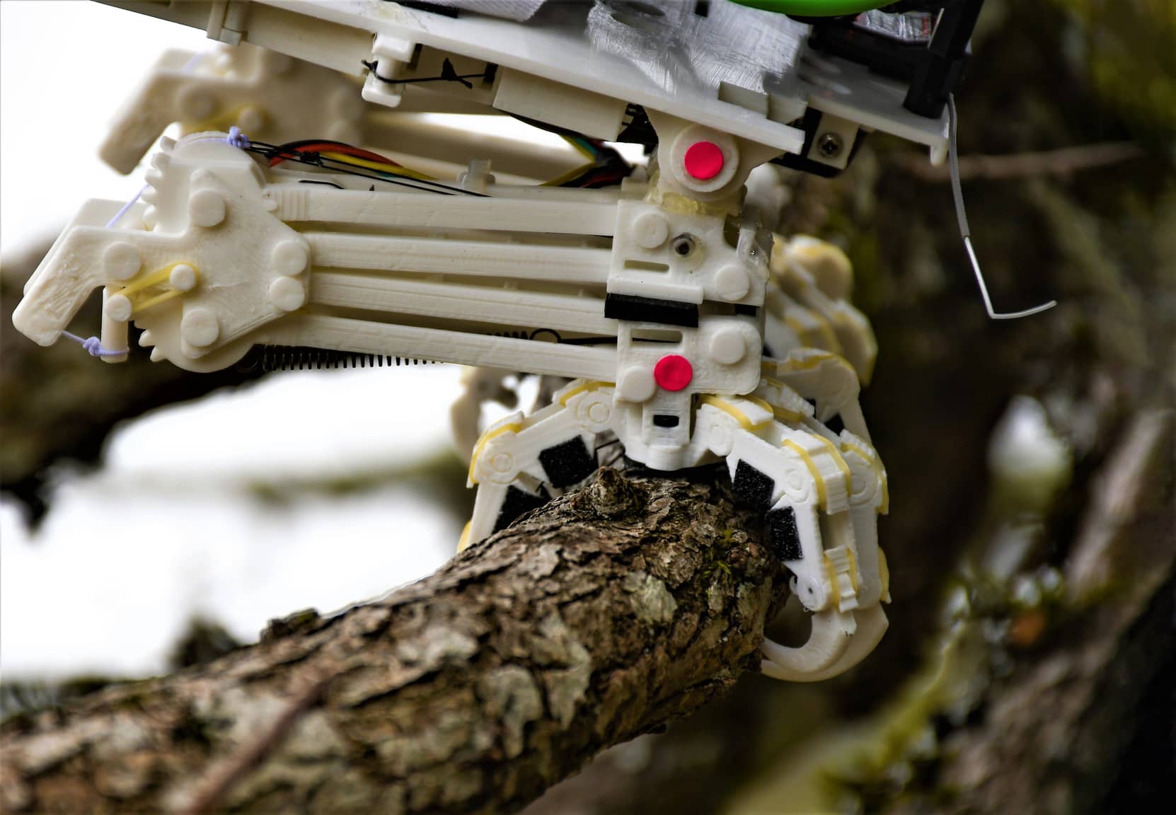 SNAG Bird-Robot Is a Motorized Falcon With Claws and Sensors, Can Be  Attached to Drones - autoevolution