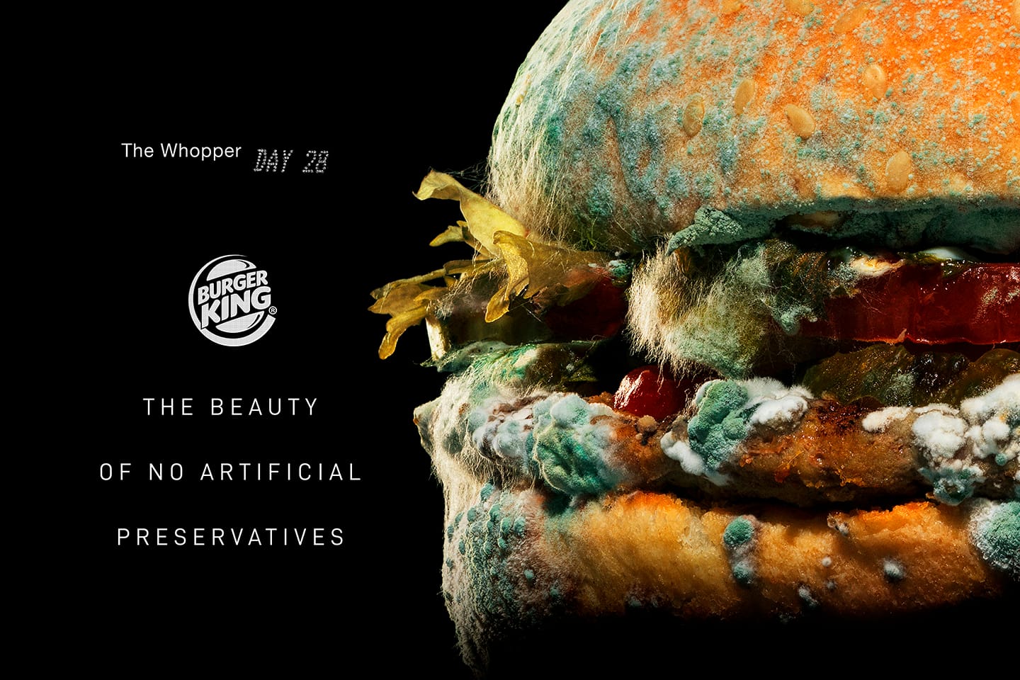 Burger King Uses Moldy Burgers in New Ads | Engoo デイリーニュース