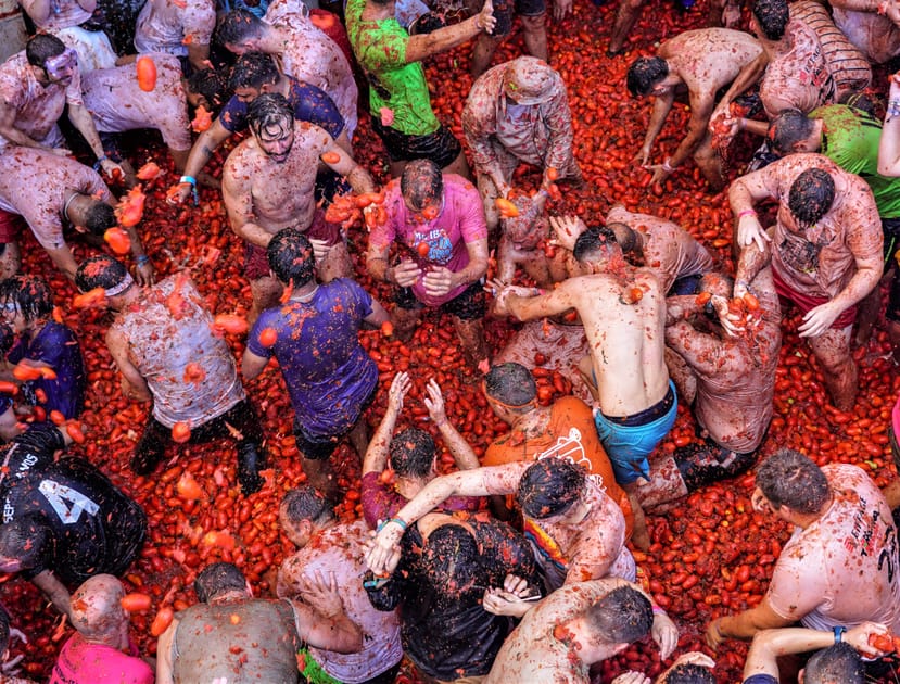 Tomato clearance throwing festival