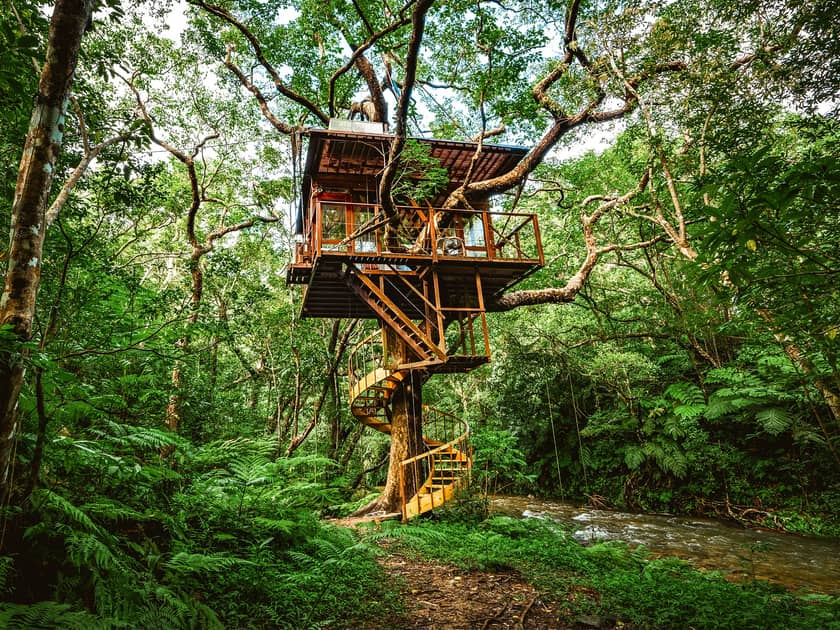 Tokyo Man Turns Childhood Dream into Treehouse Resort | DMM英会話 