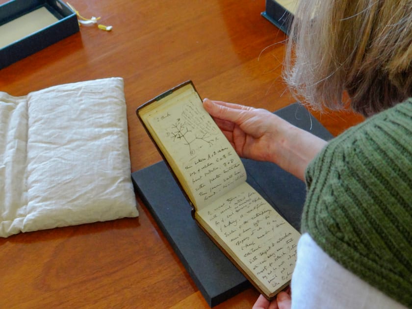 Missing Darwin Notebooks Returned to Library After 20 Years | Engoo 每日新聞