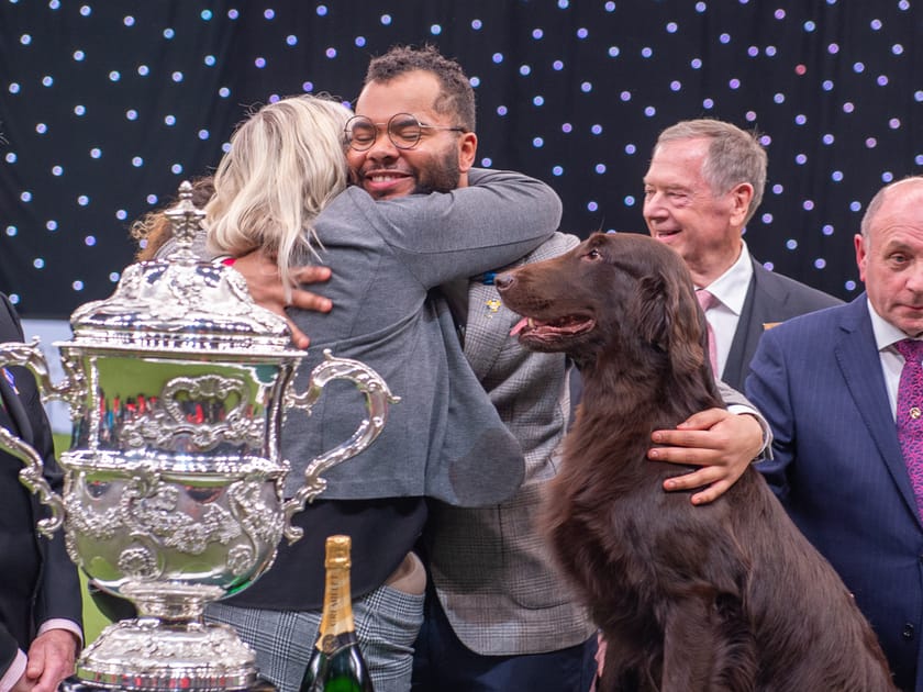World's Biggest Dog Show Announces 2022 Winner | DMM英会話
