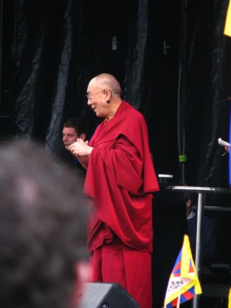 期間限定お値下げ！早い者勝ち！　ＴＨＥ　ＤＡＬＡＩ　ＬＡＭＡ SV7PYALSOPXACTBJFC44LIUMPM.jpg