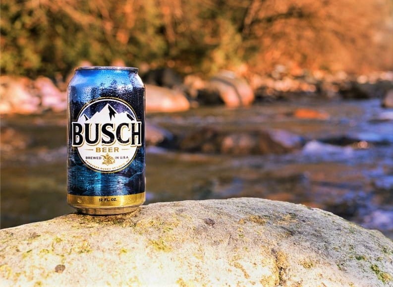 Busch Offers Free Beer for Dog Adoptions DMM英会話 デイリーニュース