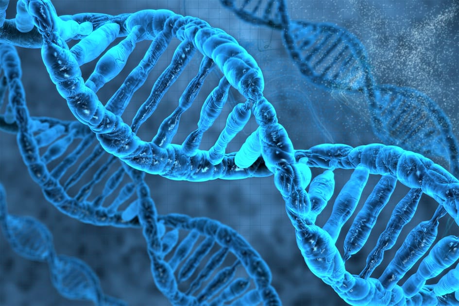 DNA May Solve the World’s Data Storage Problem | Engoo Daily News