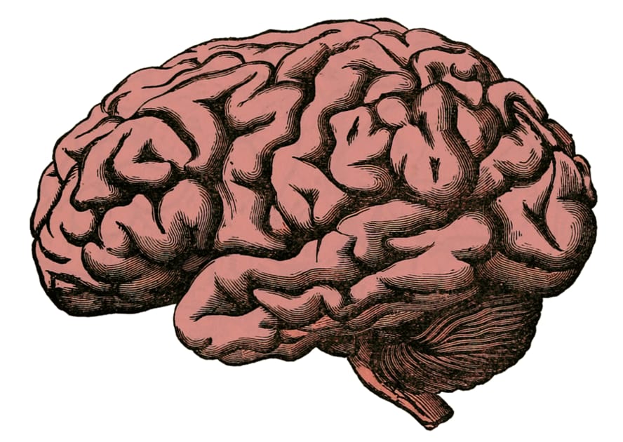 Brain Engoo brain-engoo