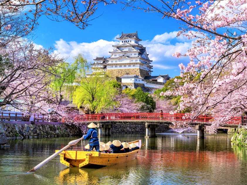 japan-s-cherry-blossom-forecast-for-2023-engoo