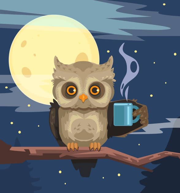A Night Owl | Drink Like a Fish | The Lion