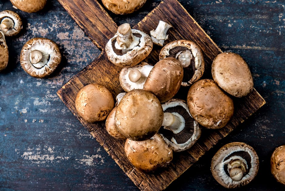 Mushrooms May Reduce Risk of Memory Problems Engoo 每日新闻