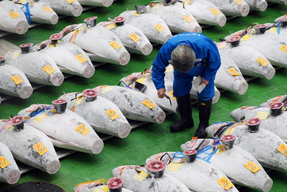 Bluefin Tuna Sells for Record $3 Million in Tokyo | Engoo Daily News