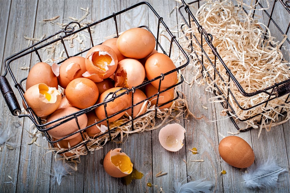 Have You 'Put All Your Eggs in One Basket'? ข่าวประจำวัน Engoo