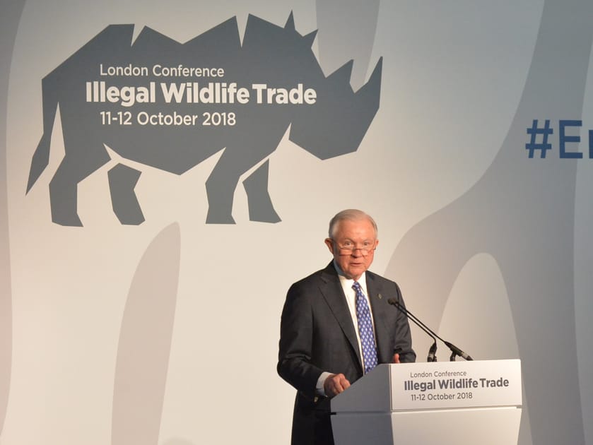 World Leaders Gather to Discuss Illegal Wildlife Trade | Engoo Daily News