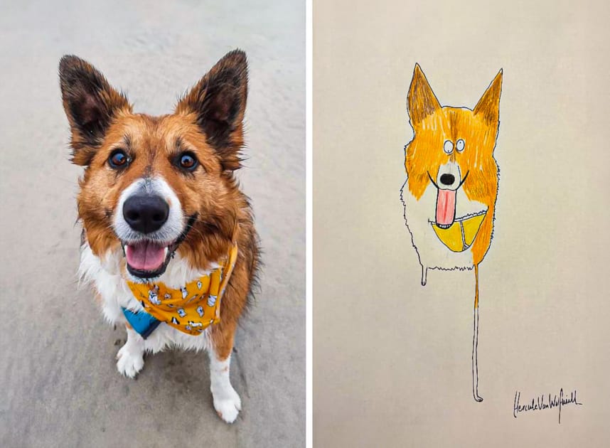people send pictures of their pets to this artist to... 'Rubbish' Pet Artist Raises $520,000 for Charity | Engoo Daily News