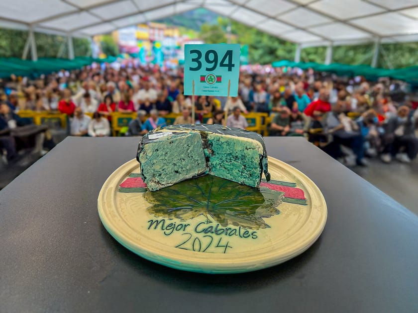 World's Most Expensive Cheese Sold for $42,000 | DMM英会話