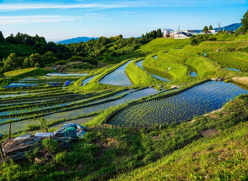 Why Rural Life in Japan Can Be Difficult — Survey | Engoo 데일리뉴스