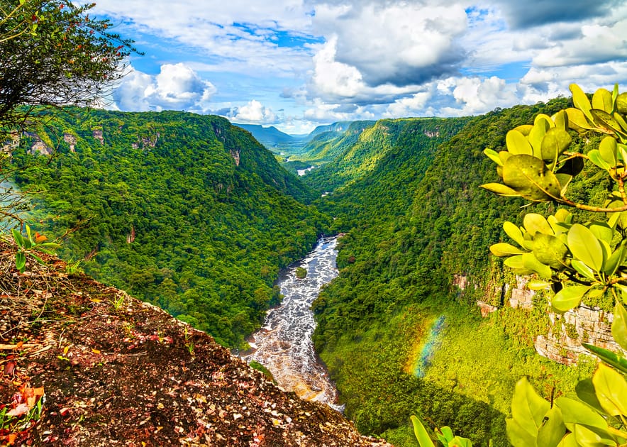 Only One Country Produces Enough Food for Itself | Engoo 每
