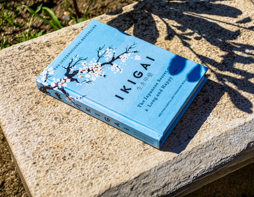 Could 'Ikigai' Help You Find Happiness? | DMM英会話 デイリーニュース