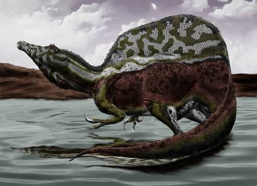 Scientists ‘Unveil’ First Semi-aquatic Dinosaur | Engoo 每日新闻