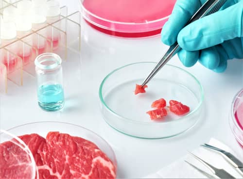 72 Of Young Australians Wont Eat Lab Grown Meat Engoo 每日新聞