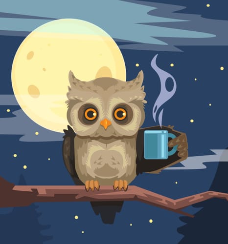 A Night Owl Drink Like A Fish The Lion S Share Have Eyes Like A Hawk Take The Bull By The Horns Dmm英会話 デイリーニュース